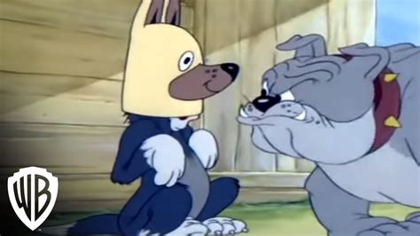 tom and jerry dog|tom and jerry pussycat.